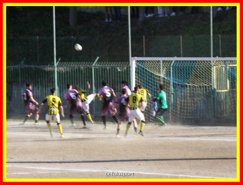 190310 Cephal_Torrenov 140_tn.jpg